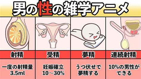 夢精の原因と夢精をするための4つの方法